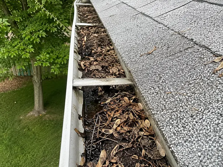 Technician cleaning leaves and debris out of a gutter